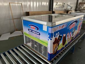 Congélateurs horizontaux à double porte à refroidissement direct de haute qualité et à faible consommation d'énergie pour les restaurants - Product Image 5