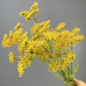 <span class=keywords><strong>Fleur</strong></span> de dentelle artificielle Queen <span class=keywords><strong>Anne</strong></span> de haute qualité à 5 têtes pour la décoration d'événements - Product Image 3
