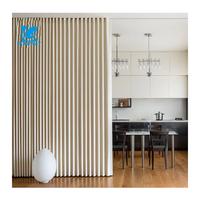 Porte pliante bi-fold porte d'accordéon transparente porte coulissante en plastique pour salle de bain