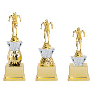 الأكثر مبيعًا البلاستيك السباحة والغوص الصدر الكأس للمسابقات Tounaments الأحداث جائزة AD62 - Product Image 1