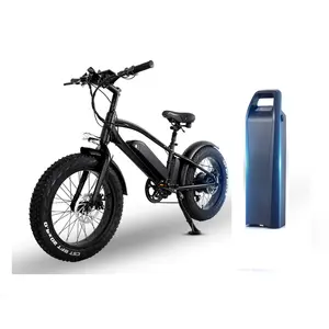 2021新升级750W电动自行车智能电动自行车欧盟库存胖自行车成人