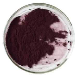 Grosir bubuk Anthocyanin suplemen makanan ekstrak Black Currant dalam kemasan Drum - Product Image 3
