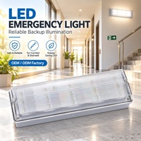 Lampe d'urgence étanche à batterie avec logo personnalisé OEM, en polymère haute densité, zéro fuite, pour forage offshore