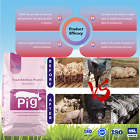 Gain de poids Croissance rapide Fabricant Fourniture directe Prémélange pour favoriser la croissance de l'additif alimentaire pour porcelets Prémélange