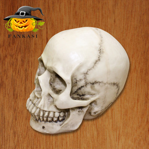 Modèle de crâne en résine pour Halloween, échelle 1:1, durable, pour la décoration et la reproduction artistique médicale - Product Image 1