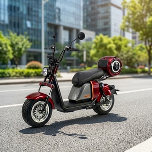 Scooter Eléctrico de Dos Ruedas con Batería de Litio de 1000w 20ah, Neumáticos Anchos de Aluminio, Venta al por Mayor en Brasil, Modelo SS701, Motor Potente de 1000w - Product Image 1