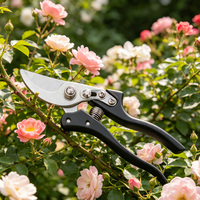 Ciseaux d'élagage de branche SK5 robustes coupe Aviation pince coupante à tête droite en acier inoxydable cisailles de jardinage