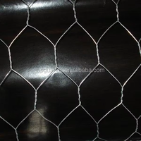 Grillage hexagonal de poulet/grillage hexagonal de poulet pour le fabricant de ferme
