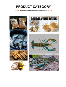 Semillas de Baobab Zambianas Naturales Crudas con Alto Contenido de Aceite para Extracción de Aceite y Plantación - Product Image 5