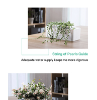 Kit de culture pour jardin d'intérieur et d'extérieur, nouveau, pour la plantation d'herbes, 18 pots