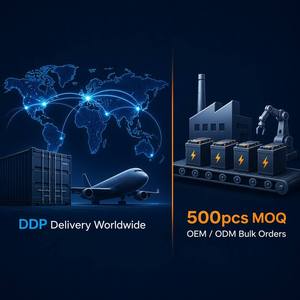 Paket Baterai Lithium Custom Ansen AS-DCZ OEM Grosir Pesanan Massal Stok Gudang Pengiriman Global Semua Ukuran Tegangan 1000 Siklus - Product Image 6
