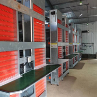Cages de couche de cage de poulet de couche de type H cage de batterie de ferme de volaille de poulet d'oeuf pour la capacité des couches 10000