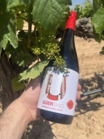 Vin Rouge de Table Monastrell de Haute Qualité, Goût Sec, 3000 ml, DOP Jumilla, 14,5% ABV, 25 Ans, Corpulent, Français, à Prix Abordable