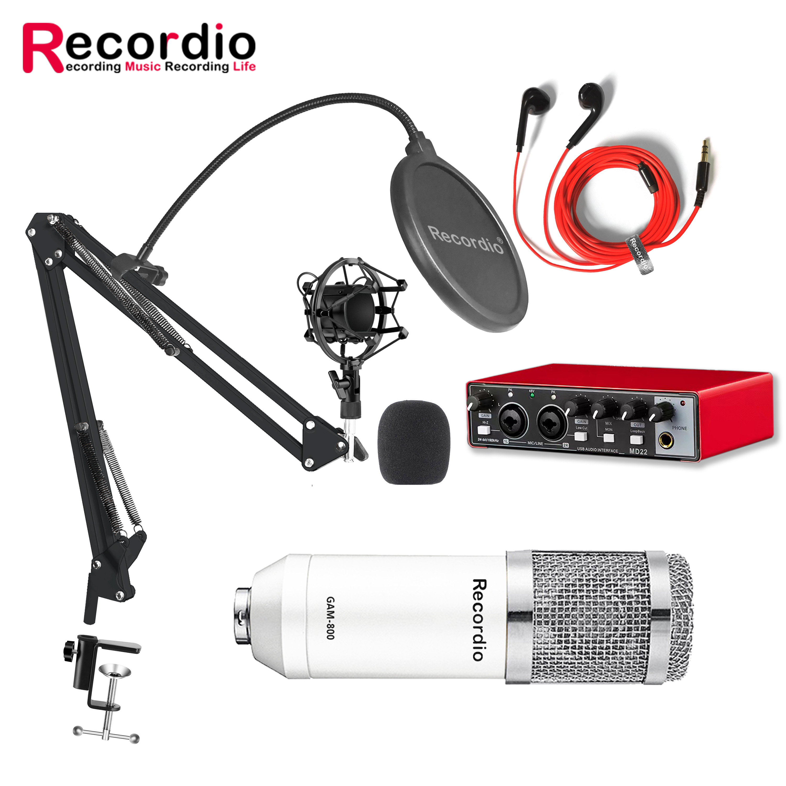 GAM-800AIプロフェッショナルコンデンサーマイクMd22サウンドカード