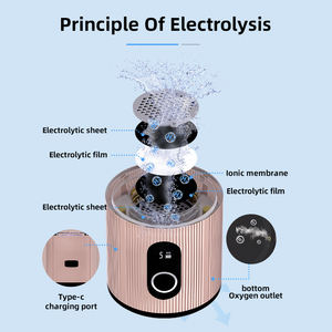 אולטרה עשיר 6000pb מימן עשיר 230 מ ל מים יצרני חשמל סיטוני חמצן מימן גנרטור משק בית - Product Image 5
