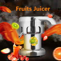 Commerciële Elektrische Juicer Groente Fruit Sapcentrifuge