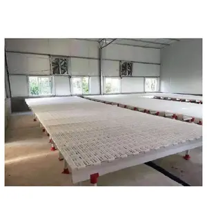 High quality plastic poultry slat floor broiler chickens house poultry slats for broiler chicken coop