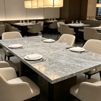 Pierre de quartz grise Pandora de luxe de qualité supérieure, grande dalle pouvant être utilisée pour la décoration moderne des hôtels, des villas, des halls d'entrée, des tables à manger