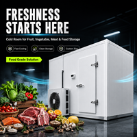 Cámara Frigorífica Solar de 20 pies 40HQ, Contenedor Refrigerado, Congelador Walk-in, Chambre Froide Solaire, Congelador con Energía Solar