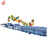 Fruit- en groenteverwerkingslijn product frietverwerkingslijn