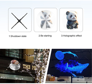 52cm <b>3D</b> Hologram LED <b>Projector</b> Fan Rotating Animated Advertising Display <b>with</b> SD Card for Education OEM Supplier - Product Image 6