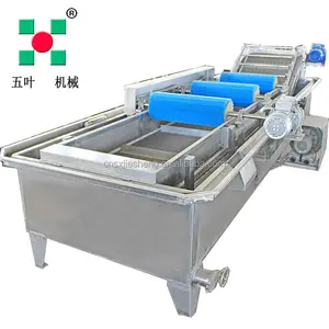 Industrial Bubble Washing/Cleaning/Processing Machine For Food Fruits Vegetable Seafood Pre-treatment Equipment