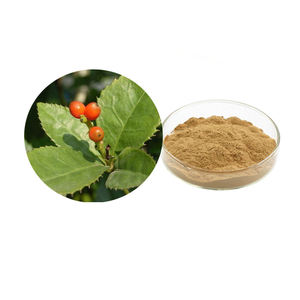 Extracto de Sarcandra, Extracto de Sarcandra Glabra <span class=keywords><strong>Nakai</strong></span> en Polvo 10:1 - Product Image 1