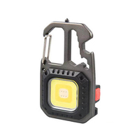 600 Lumens Mini COB lampes de poche 200 pieds gamme lumière porte-clés Flash lumières extérieur Portable Rechargeable Camping lampe de poche