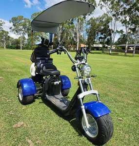 Scooter Eléctrico <span class=keywords><strong>de</strong></span> <span class=keywords><strong>Golf</strong></span> <span class=keywords><strong>de</strong></span> Tres Ruedas con GPS, Plegable, Impermeable, Batería <span class=keywords><strong>de</strong></span> Litio, Largo Alcance 60-100 km - Product Image 2