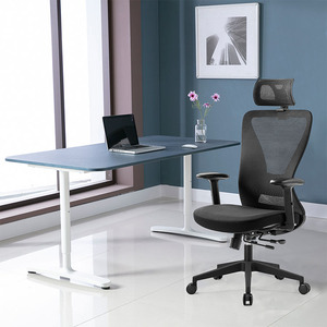 Chaise ergonomique en maille avec Support lombaire à haut dossier, chaise pivotante de bureau pour gestionnaire d'ordinateur - Product Image 1