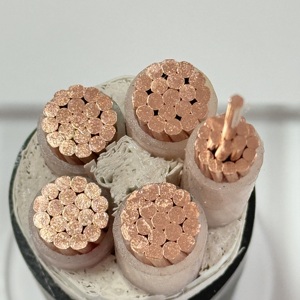 WDZC-YJY 1.5 스퀘어 저 연기 할로겐 프리 싱글코어 <span class=keywords><strong>2</strong></span> 코어 <span class=keywords><strong>3</strong></span> 코어 4 코어 5 코어 국가 표준 케이블 - Product Image 3