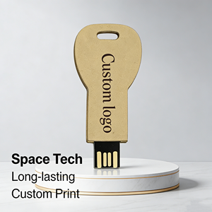 แฟลชไดรฟ์รูปกุญแจ OEM สำหรับโปรโมชั่น รุ่น 2.0 ความจุ 8GB 64GB <span class=keywords><strong>ราคา</strong></span>ประหยัด - Product Image 5