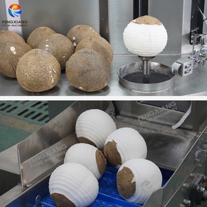 Máquina Peladora de Coco Automática FXP-YZ-II, Peladora Comercial de Coco Marrón Kelapa, Acero Inoxidable 304, Alta Calidad para Frutas y Verduras - Product Image 4