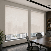 Ilvia Custom Smart Blinds Shades & Shutters Aluminium Smart Electric Curtain System Roller Blinds.