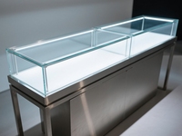 Vitrine Murale de Luxe GZowin pour Montres avec Éclairage LED, Porte Coulissante et Dimensions Personnalisables pour Présentoirs Promotionnels et Vente au Détail