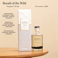 Diffuseur de parfum passif élégant et durable, arôme naturel pour le bureau et la maison