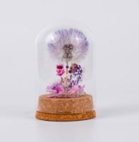 Fleur éternelle de pissenlit préservée sous cloche en verre pour décoration de table à la maison, cadeau romantique pour la Saint-Valentin et Noël, longue durée