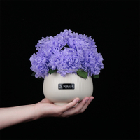 Moederdag Valentijnsdag Decoratief Cadeau Eeuwige Schoonheid Natuurlijke Verse Bloemen Ge conserveerde Hortensia in Keramische Vaas