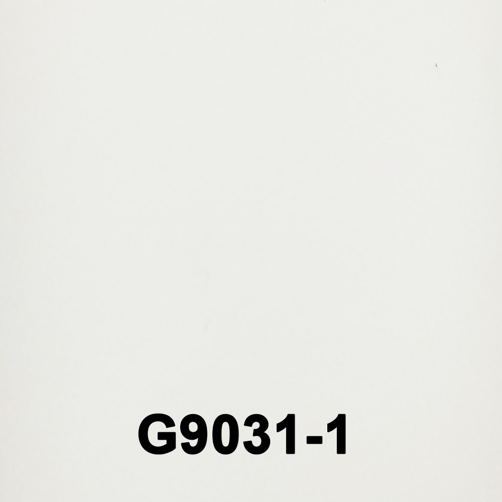 G9031-1