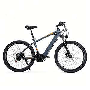 Vélo électrique à batterie lithium de haute qualité, à prix abordable, très vendu, pour les déplacements quotidiens en ville, unisexe - Product Image 1