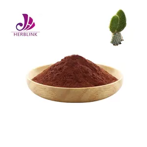 Natuurlijke Gordonii Extract Poeder Cactus Extract Poeder Food Grade Cactus Extract