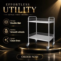 Chariot médical à double niveau en acier inoxydable pour instruments et médicaments, avec roulettes silencieuses et freins, pour cliniques et chirurgie