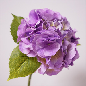 H-763 Thiết Kế Mới Bất Cảm Ứng Tú Cầu Hoa Nhân Tạo Lớn Hoa Tú Cầu Hoa Nhân Tạo Đám Cưới Cao Su Trắng Màu Xanh Lá Cây Hortensia - Product Image 6