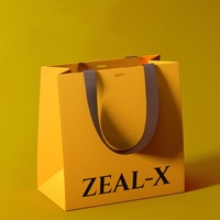Recyclable Design Personnalisé Shopping Vêtements Sac Emballage Luxe Cadeau Sacs en Papier pour Cadeau des Fêtes avec Poignée