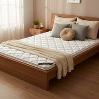 Surmatelas ignifuge pour hôtel, technologie infusée, housse amovible et lavable, design moderne pour chambre d'hôtel, livré enroulé dans une boîte
