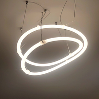 Bande lumineuse LED néon en silicone étanche IP67 12V 24V 80Ra+ Super Lumineuse Tube Rond pour Magasins Éclairage Commercial et Architectural