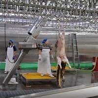 Ligne complète d'abattage de moutons de petite et moyenne taille, équipement d'abattoir halal, machine d'abattage de chèvres
