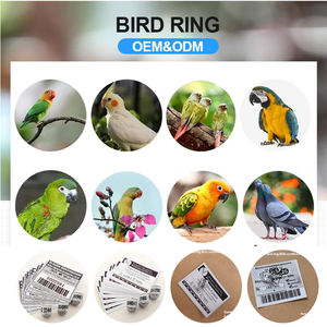 Hoge Kwaliteit <span class=keywords><strong>2025</strong></span> Fci Race Duif Club Ring Direct-Verkoop Custom Duiven Ringen Vogel Rfid Race Duiven Ringen - Product Image 6