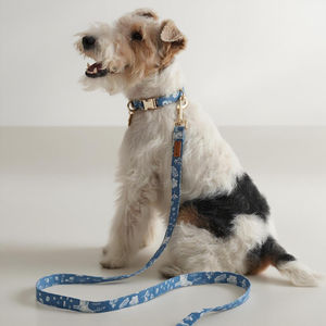 Collar de Perro Personalizado de Algodón de Lujo Premium Talla XS, Estilo Moderno, Cómodo, con Estampado de Moda, Accesorio Duradero para Perros - Product Image 4