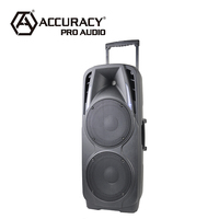 Système de haut-parleurs DJ Accuracy Pro Audio PMQ210AVX, double haut-parleur de 10 pouces, 80 W, haut-parleur actif rechargeable, pleine gamme